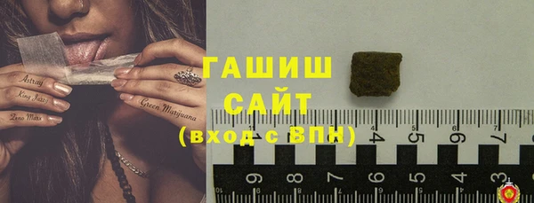 гидра Инсар