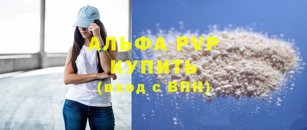 гидра Инсар