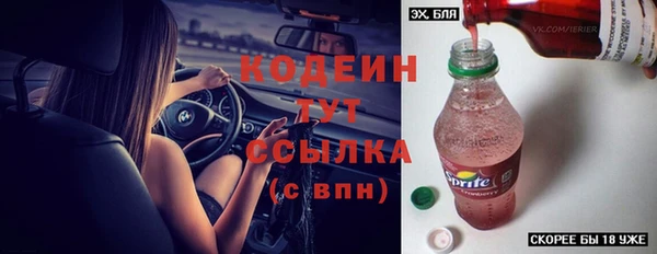 гидра Инсар