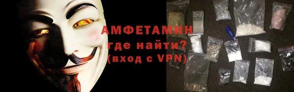 гидра Инсар