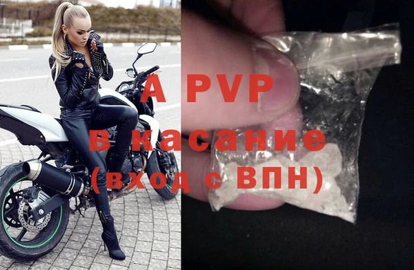 гидра Инсар