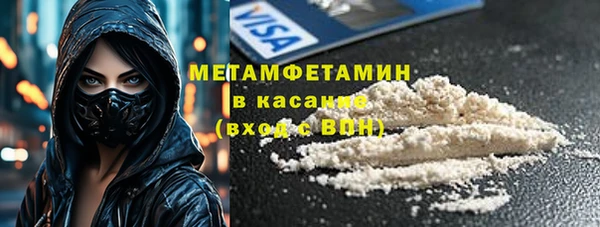 гидра Инсар