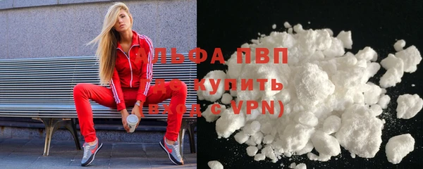 гидра Инсар