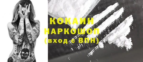 гидра Инсар