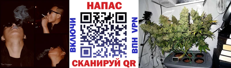 Купить где  Мирный  Каннабис White Widow 